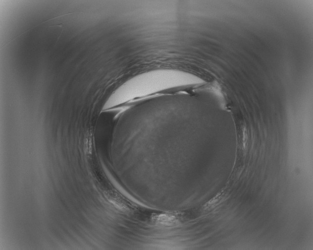 X0000058790180200510282047