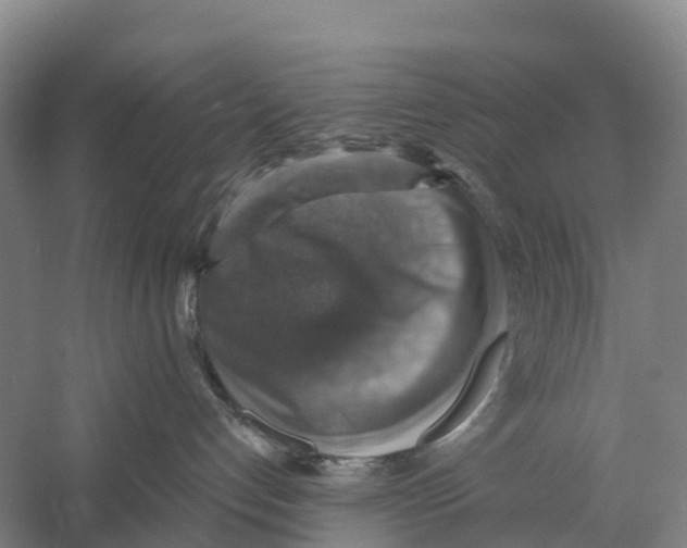 X0000058790192200510282047