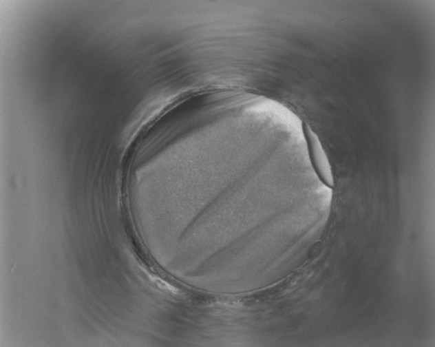 X0000058790194200510282046