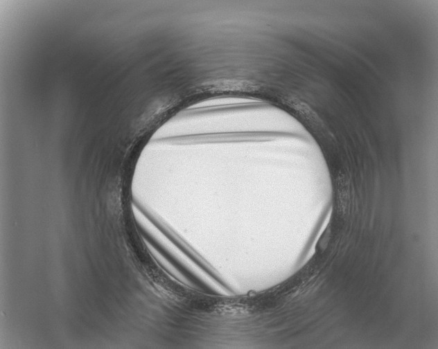X0000058790207200510282046