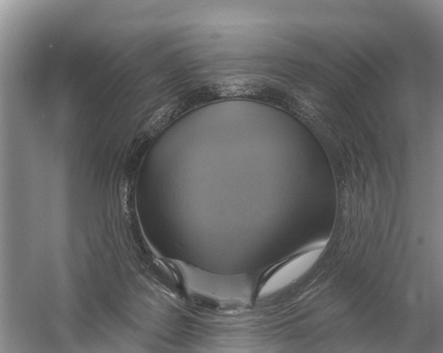 X0000058790219200510282046