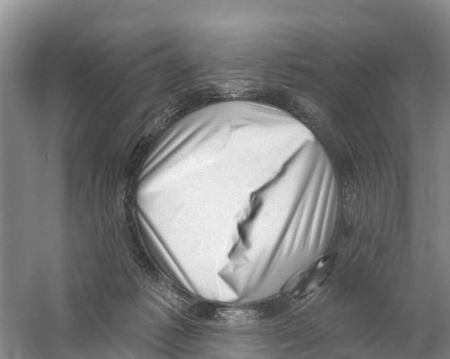X0000058790221200510282046