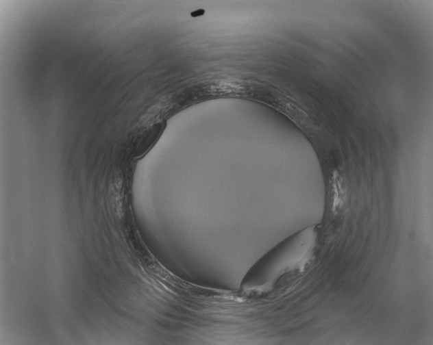 X0000058790223200510282046