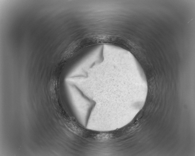X0000058790225200510282046