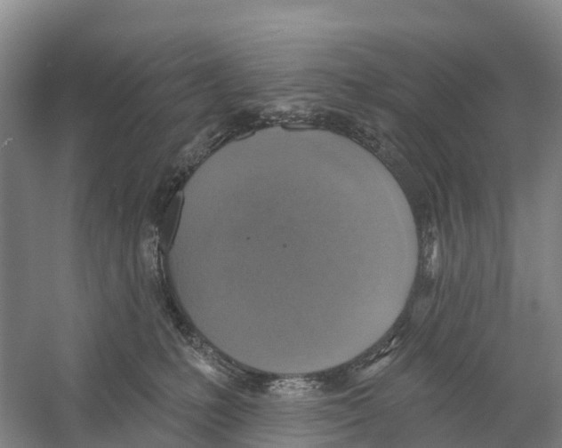 X0000058790231200510282046