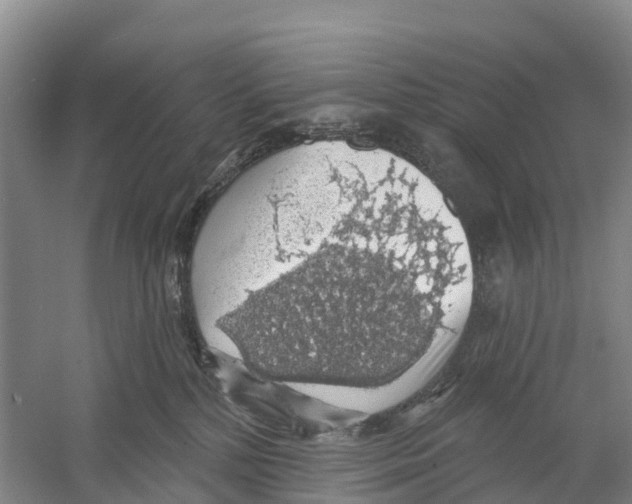 X0000058790232200510282046
