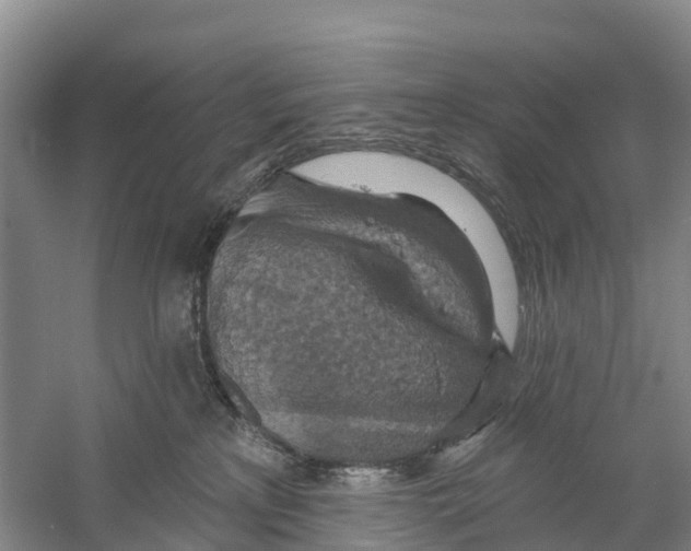 X0000058790233200510282046