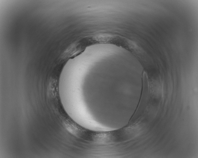 X0000058790237200510282045