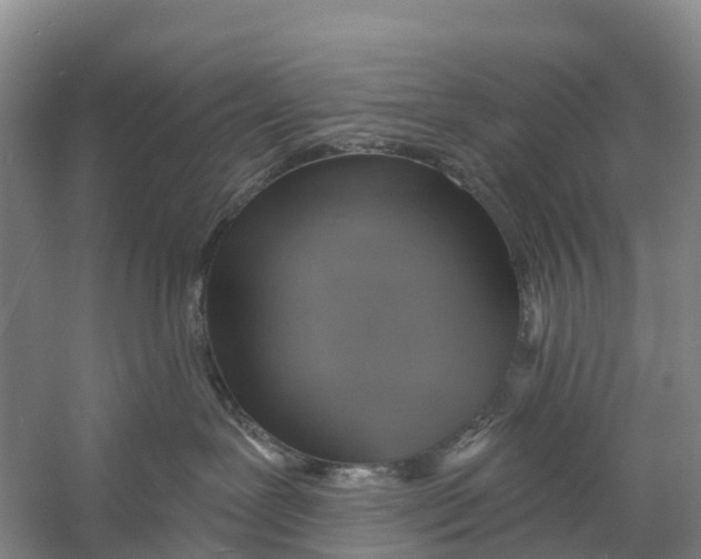 X0000058790239200510282045