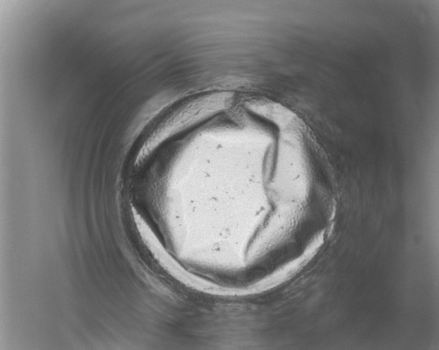 X0000058790242200510282045