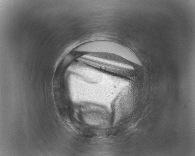 X0000058790244200510282045