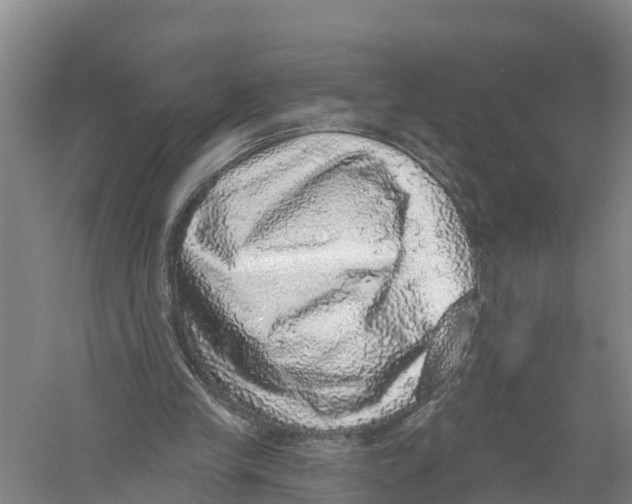 X0000058790245200510282045