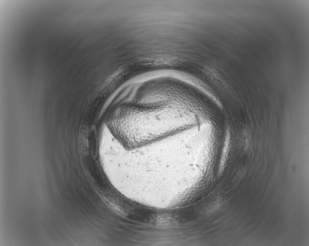 X0000058790264200510282045