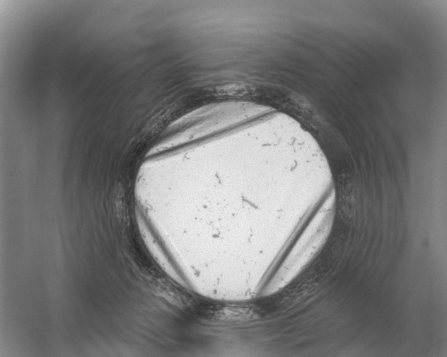 X0000058790270200510282045
