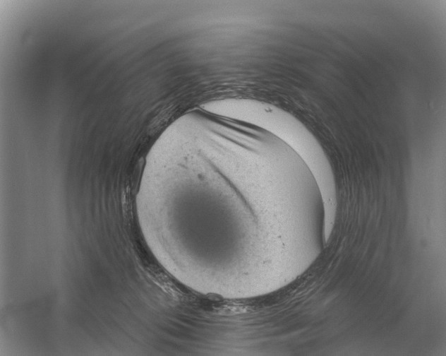 X0000058790276200510282045