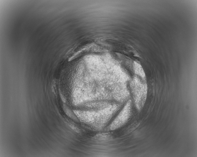 X0000058790280200510282045