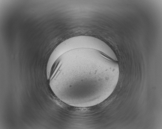 X0000058790288200510282045