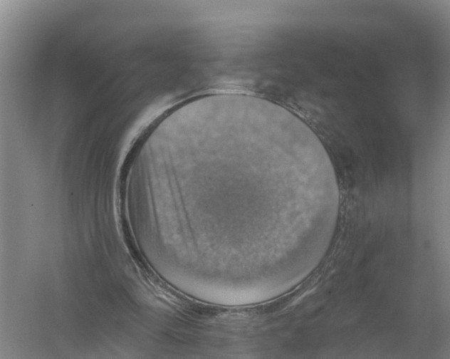 X0000058790294200510282044