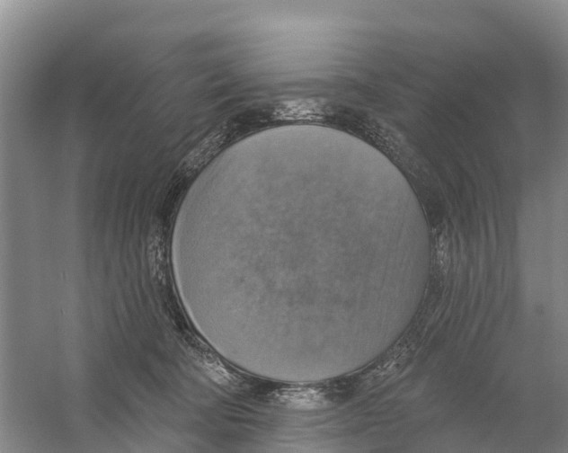 X0000058790322200510282044