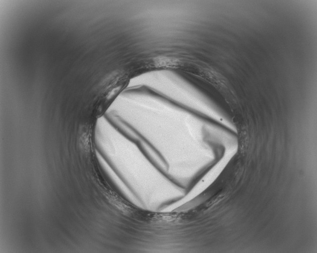 X0000058790329200510282044