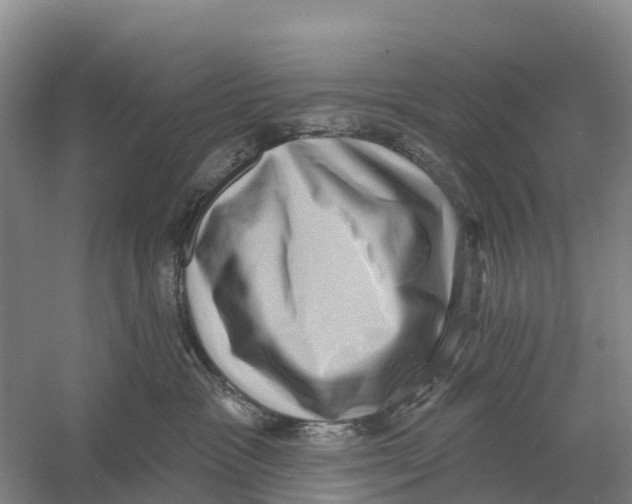 X0000058790333200510282044