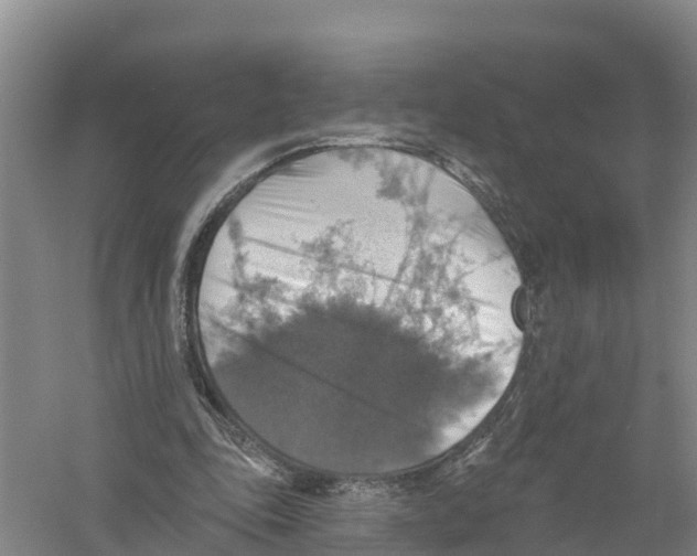 X0000058790343200510282043
