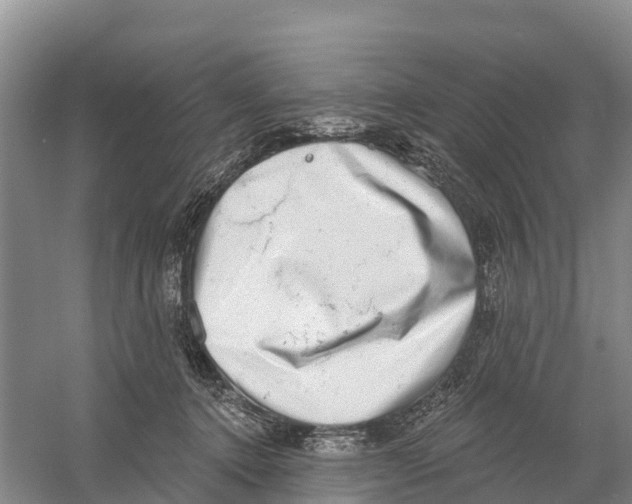 X0000058790368200510282043