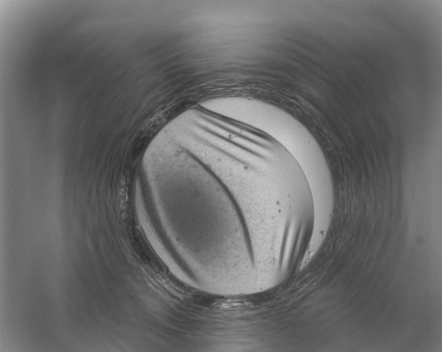 X0000058790372200510282044