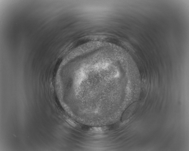 X0000058790381200510282044