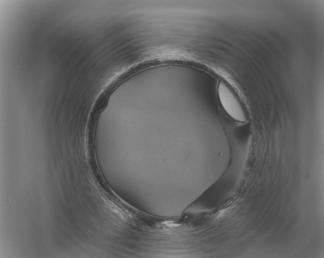 X0000058790391200510282043