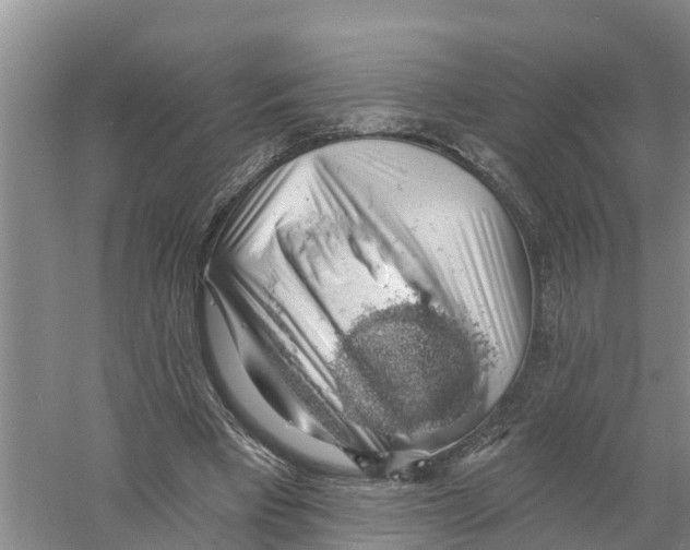 X0000058790393200510282043