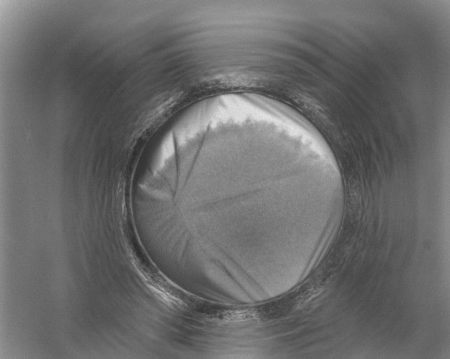 X0000058790398200510282043