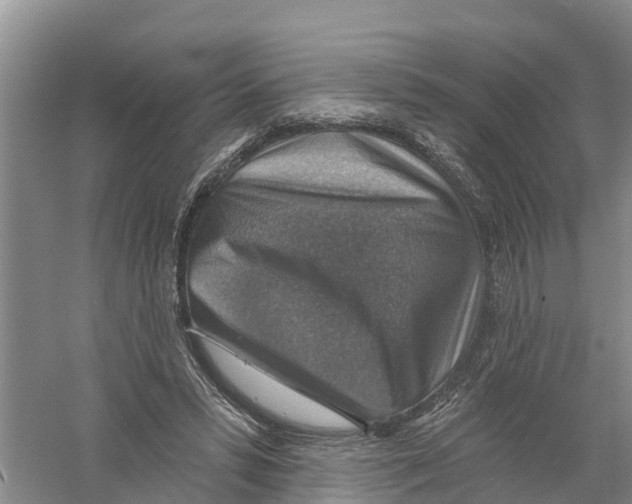 X0000058790399200510282043