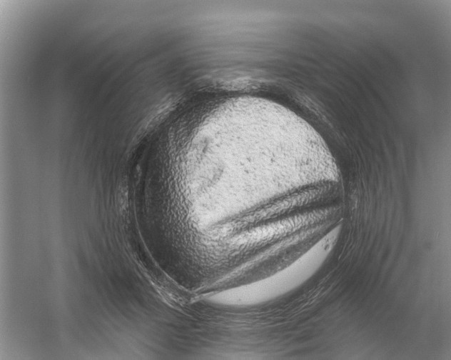 X0000058790407200510282043