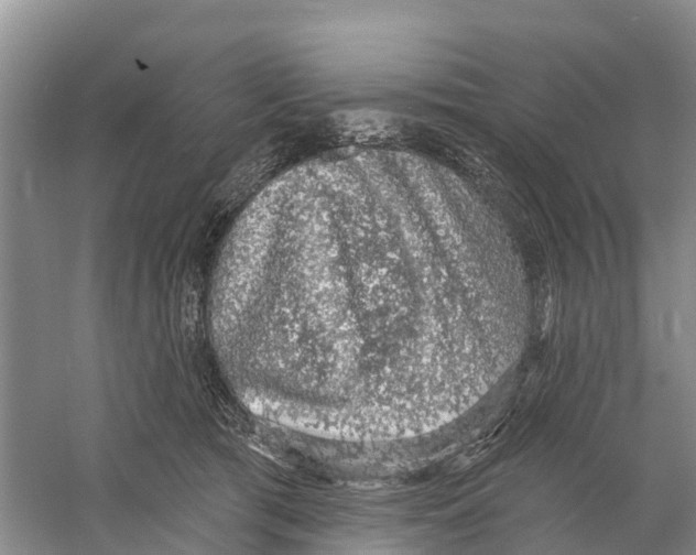 X0000058790417200510282042