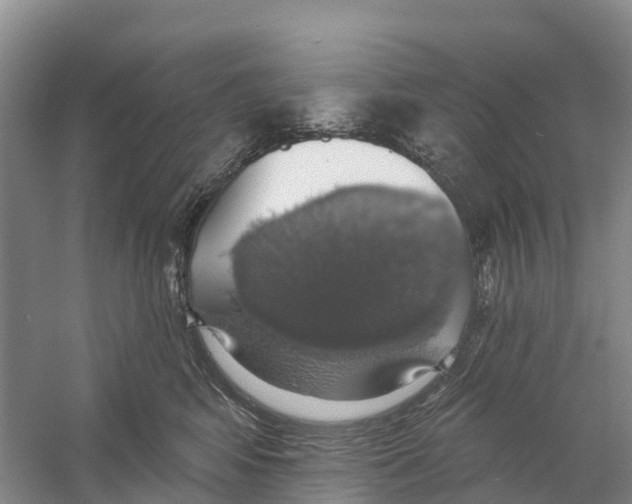 X0000058790424200510282042