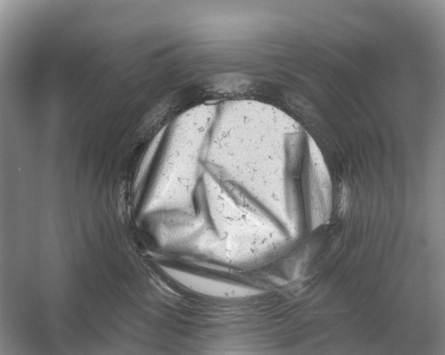 X0000058790428200510282042