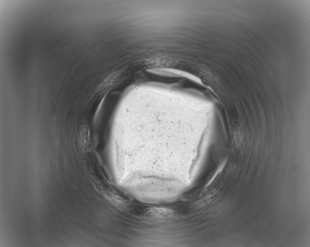 X0000058790429200510282042