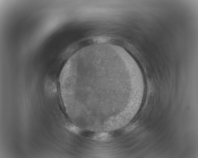 X0000058790431200510282042