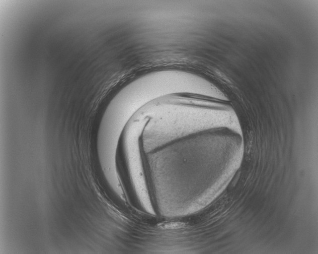 X0000058790452200510282042
