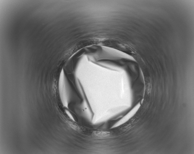 X0000058790476200510282042