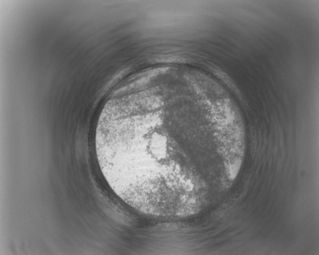 X0000058790482200510282041