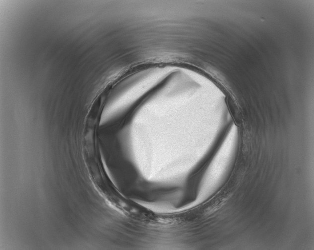 X0000058790485200510282041