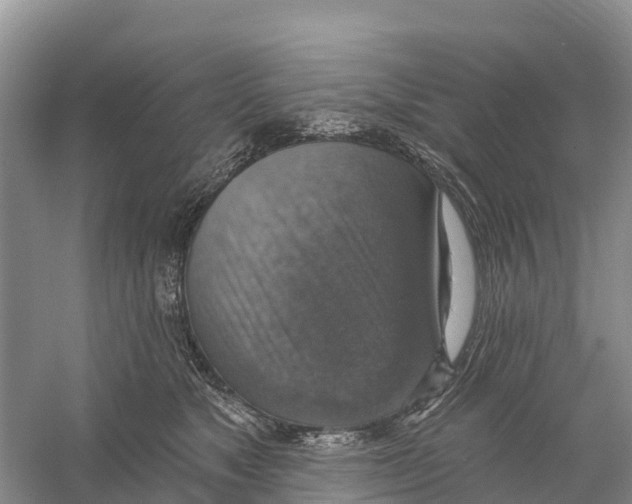 X0000058790517200510282041