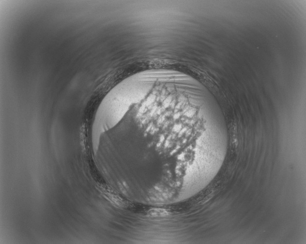 X0000058790519200510282041