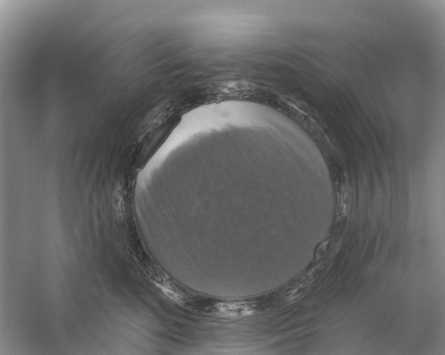 X0000058790520200510282041