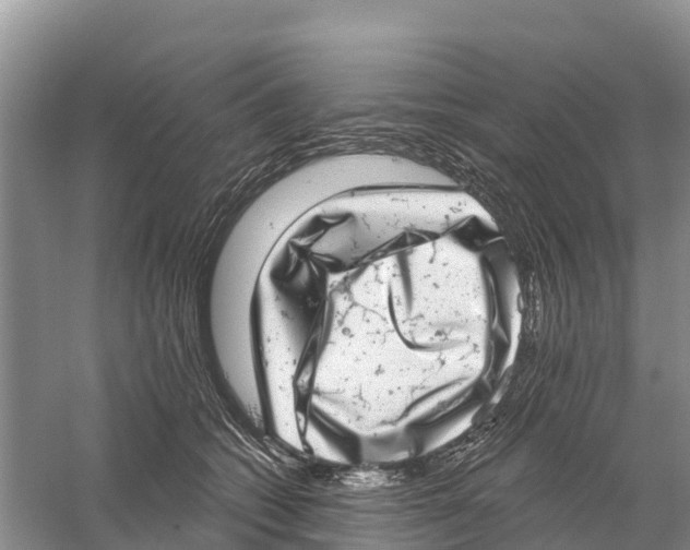 X0000058790562200510282040