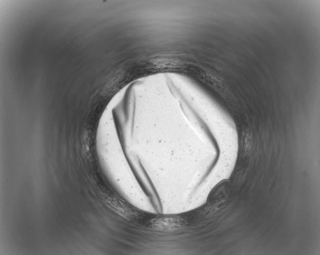 X0000058790567200510282040