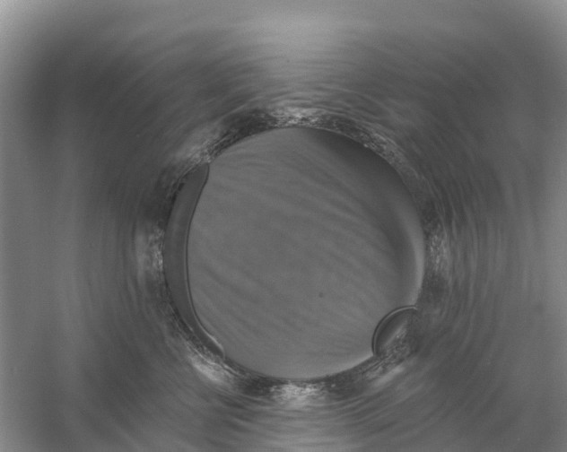 X0000058790570200510282040