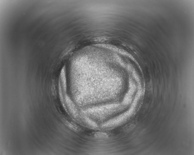 X0000058790572200510282040